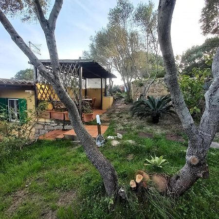 Villa Graziella La Maddalena  Eksteriør bilde