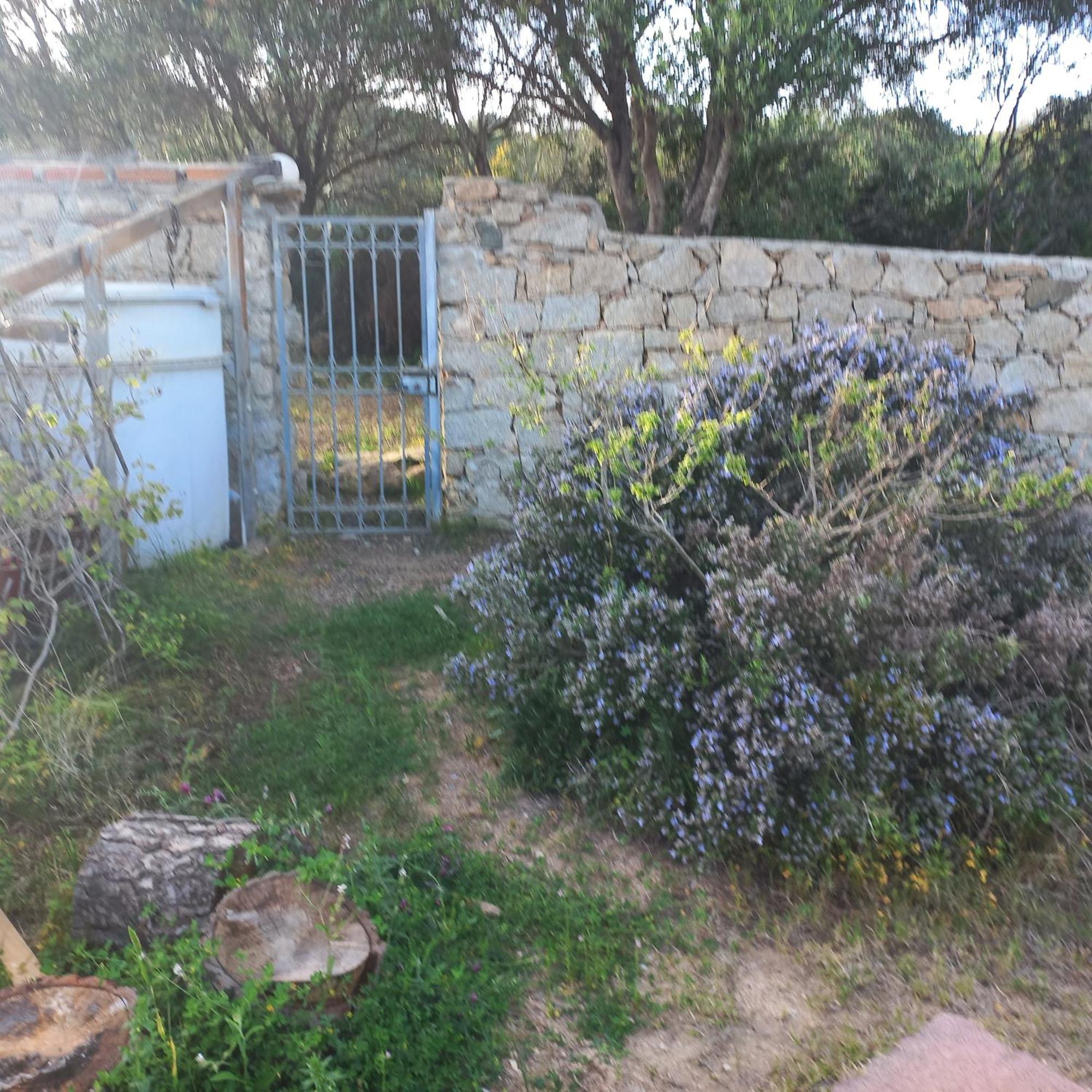 Villa Graziella La Maddalena  Eksteriør bilde