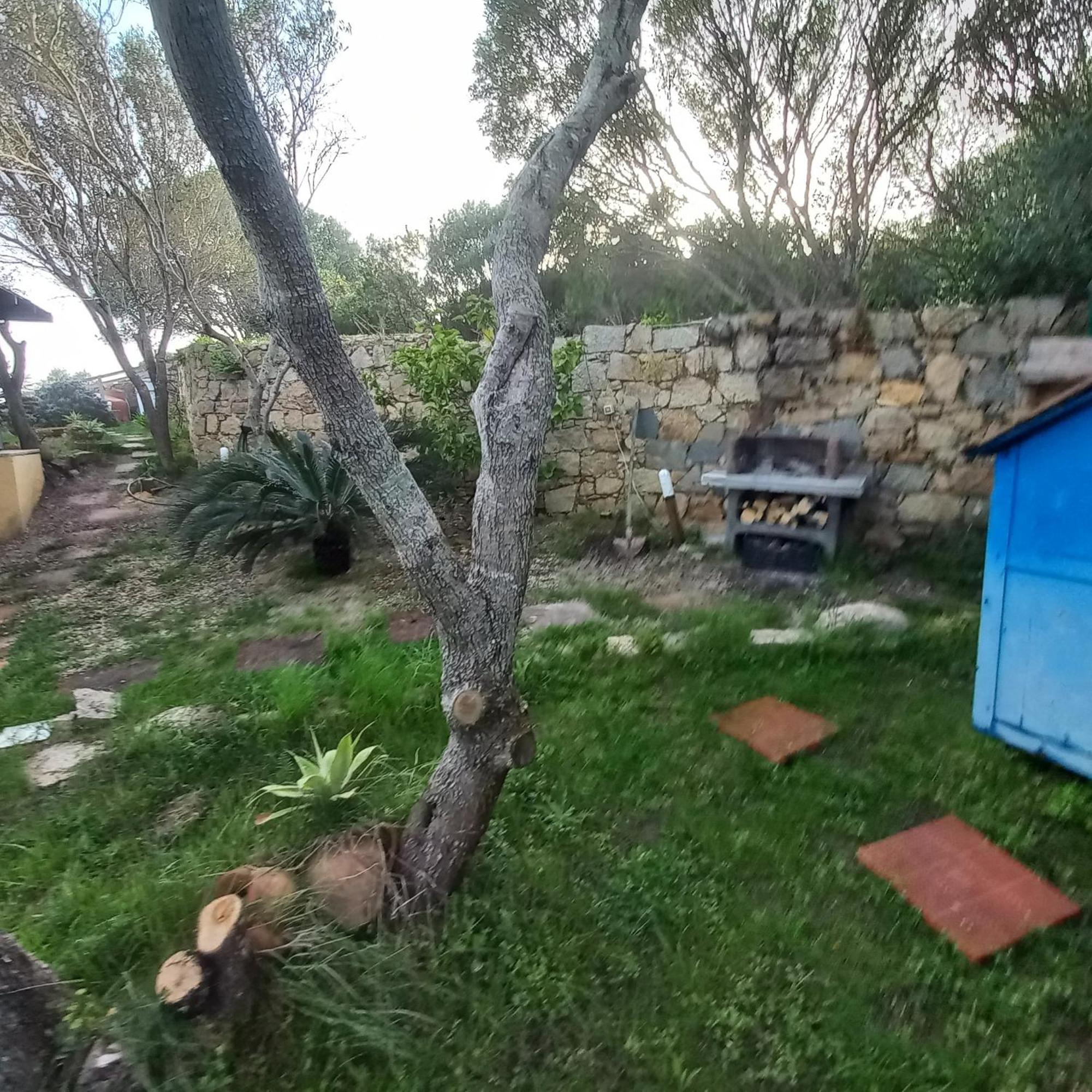 Villa Graziella La Maddalena  Eksteriør bilde